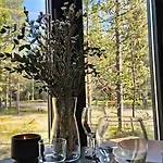 Alpstuga Landscape 12, Karpalo, Yllaes, Tiny With Sauna, Fireplace, Bbq, Wifi, Ski, Fishing, Pets Ok *
