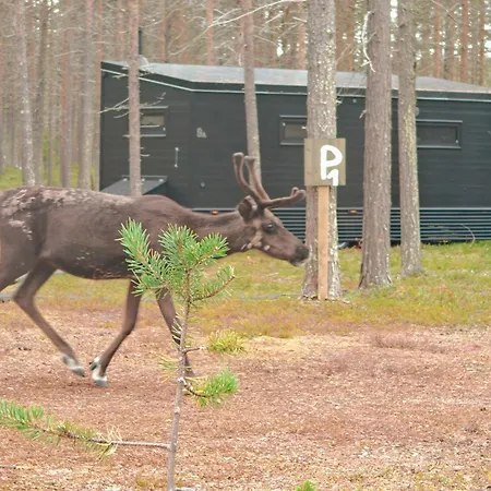 Landscape 12, Karpalo, Yllaes, Tiny With Sauna, Fireplace, Bbq, Wifi, Ski, Fishing, Pets Ok * Äkäslompolo